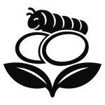Seide
