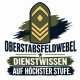 Tasse »Oberstabsfeldwebel Dienstwissen auf höchster Stufe«