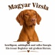 Tasse »Magyar Vizsla – treuer Begleiter«