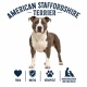 Tasse »American Staffordshire Terrier«