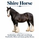 Tasse »Shire Horse – sanftmütiger Riese«