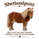 Tasse »Shetlandpony – klein, stark, charaktervoll«
