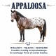 Tasse »Appaloosa – Pferderasse«