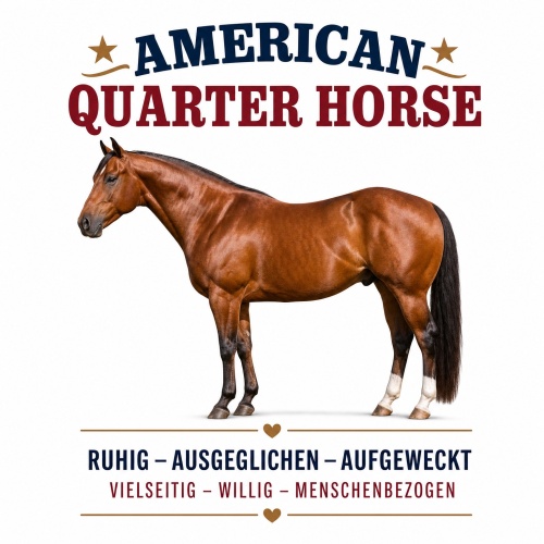 Tasse »American Quarter Horse«