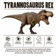 Tasse »Tyrannosaurus Rex – Dino-Wissen«