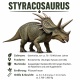 Tasse »Styracosaurus Dino-Wissen«