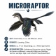 Tasse »Microraptor – Urzeit-Dinosaurier«