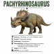 Tasse »Pachyrhinosaurus – Dinosaurier Info«