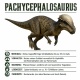 Tasse »Pachycephalosaurus Dinosaurier«