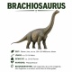 Tasse »Brachiosaurus Dino-Wissen«