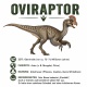 Tasse »Oviraptor Dino Fakten«