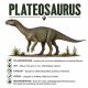 Tasse »Plateosaurus – Dinosaurier Info«