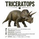 Tasse »Triceratops Dinosaurier«