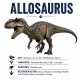 Tasse »Allosaurus – Dinosaurier-Wissen«