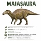 Tasse »Maiasaura Dino Fakten«