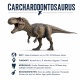 Tasse »Carcharodontosaurus Dino-Wissen«