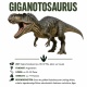 Tasse »Giganotosaurus Dino-Wissen«