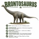 Tasse »Brontosaurus – Dinosaurier-Wissen«