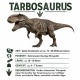 Tasse »Tarbosaurus – Dinosaurier Info«