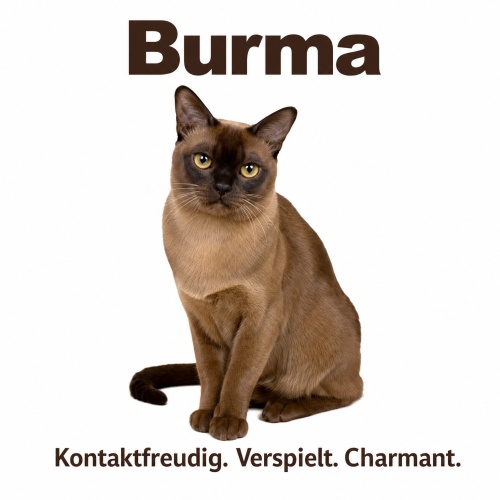 Tasse »Burma – Kontaktfreudig. Verspielt....