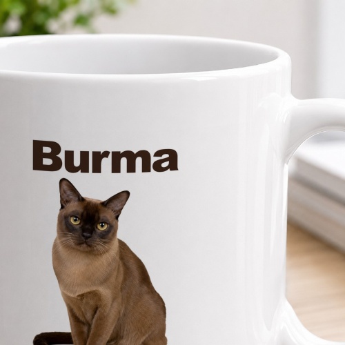 Tasse »Burma – Kontaktfreudig. Verspielt. Charmant.«