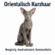 Tasse »Orientalisch Kurzhaar – neugierig & kommunikativ«