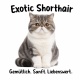 Tasse »Exotic Shorthair – Gemütlich. Sanft. Liebenswert.«