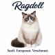 Tasse »Ragdoll – Sanft. Entspannt. Verschmust.«