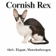 Tasse »Cornish Rex – Aktiv. Elegant. Menschenbezogen.«