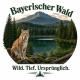 Tasse »Bayerischer Wald – Wild. Tief. Ursprünglich.«