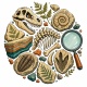 Tasse »Fossilien & Dinosaurier-Motiv«