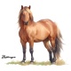 Tasse »Haflinger Pferd Aquarell«