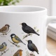 Tasse mit heimischen Singvögeln
