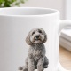 Tasse »Goldendoodle«