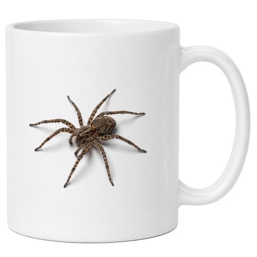 LunaLana® Tasse »Spinne«