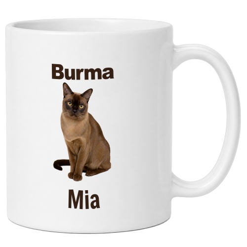 Personalisierte Tasse »Burma«