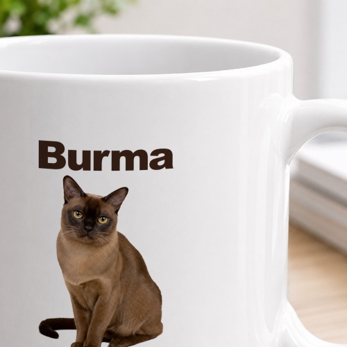 Personalisierte Tasse »Burma«