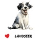 Tasse »Hund Landseer«