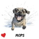 Tasse »Mops mit Herz-Motiv«