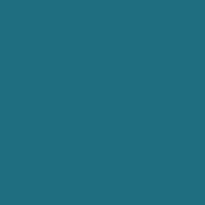 Petrol (865-143)